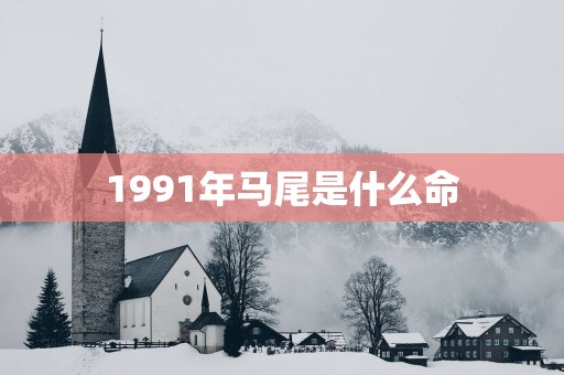 1991年马尾是什么命
