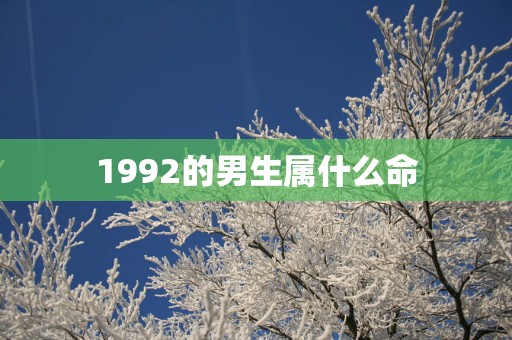 1992的男生属什么命