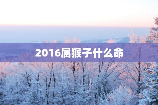 2016属猴子什么命