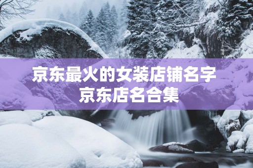京东最火的女装店铺名字  京东店名合集