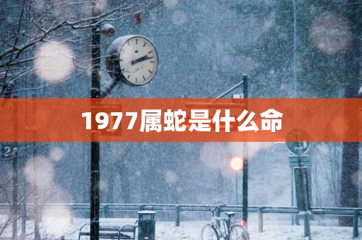 1977属蛇是什么命
