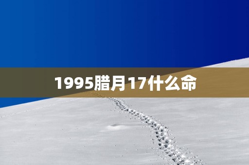 1995腊月17什么命