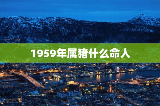 1959年属猪什么命人