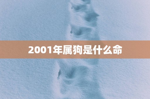 2001年属狗是什么命