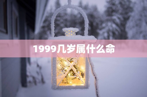1999几岁属什么命