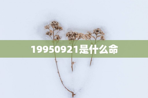 19950921是什么命