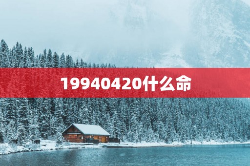 19940420什么命