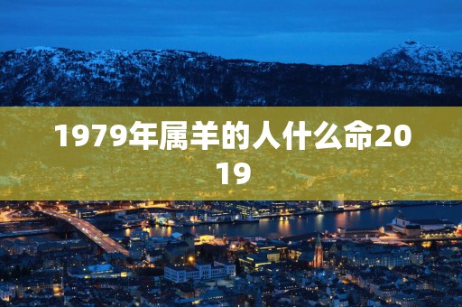 1979年属羊的人什么命2019
