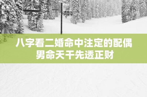 八字看二婚命中注定的配偶 男命天干先透正财