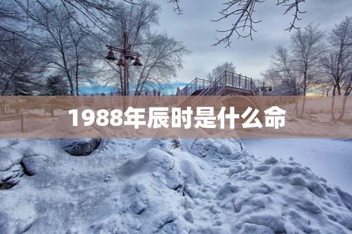 1988年辰时是什么命