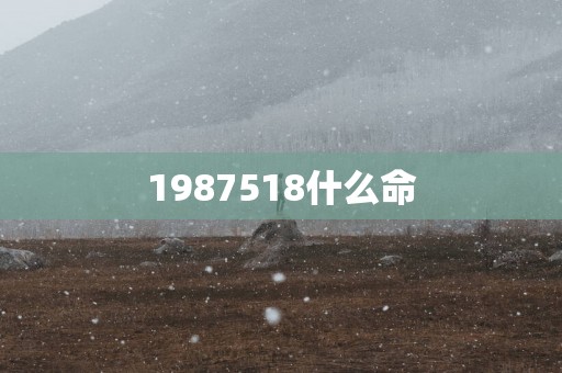 1987518什么命