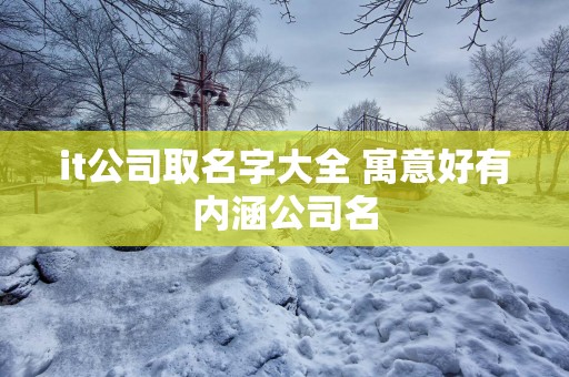 it公司取名字大全 寓意好有内涵公司名