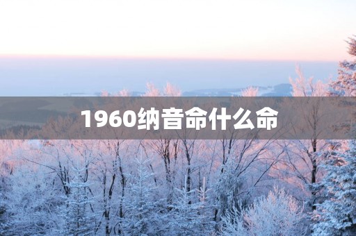 1960纳音命什么命
