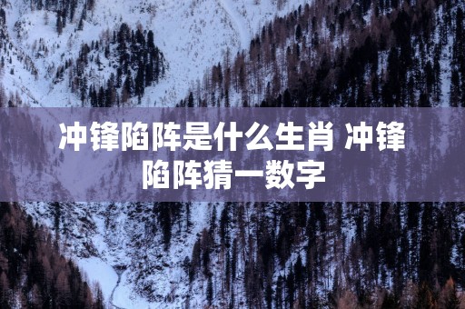冲锋陷阵是什么生肖 冲锋陷阵猜一数字
