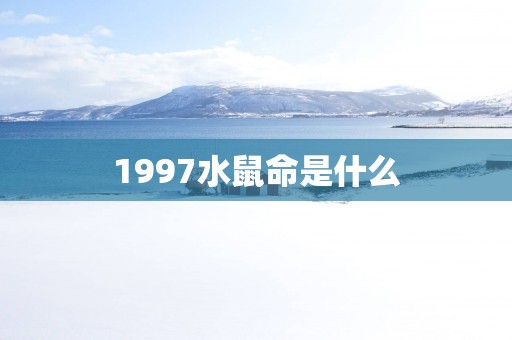 1997水鼠命是什么