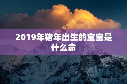 2019年猪年出生的宝宝是什么命