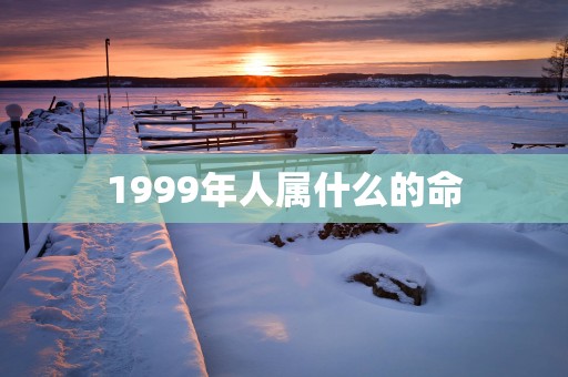 1999年人属什么的命