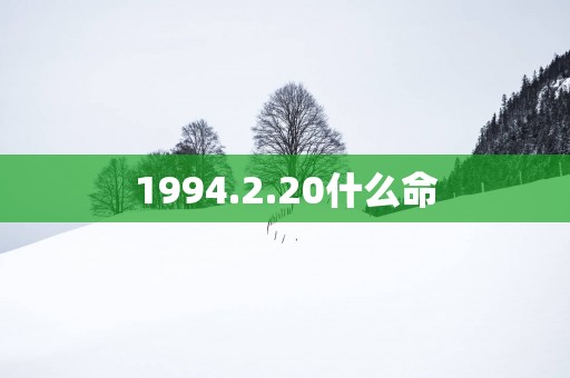 1994.2.20什么命