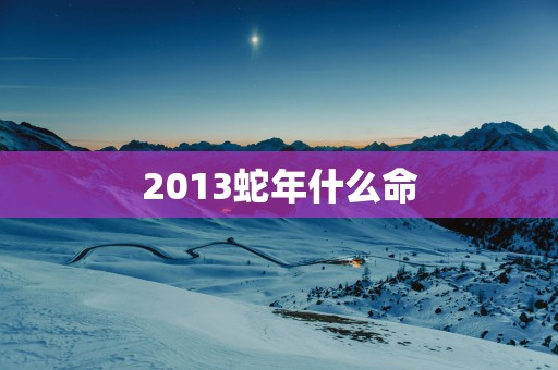 2013蛇年什么命
