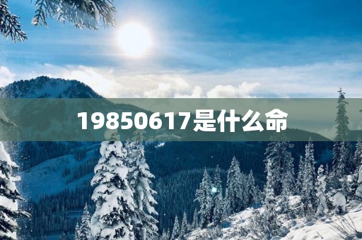 19850617是什么命