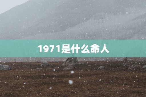 1971是什么命人