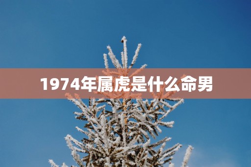 1974年属虎是什么命男