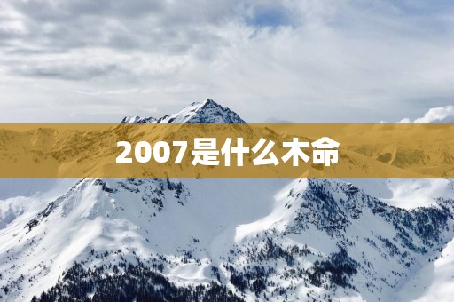 2007是什么木命