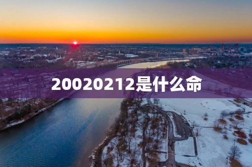 20020252是什么命