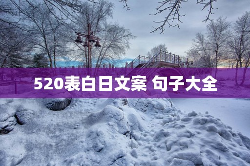 520表白日文案 句子大全