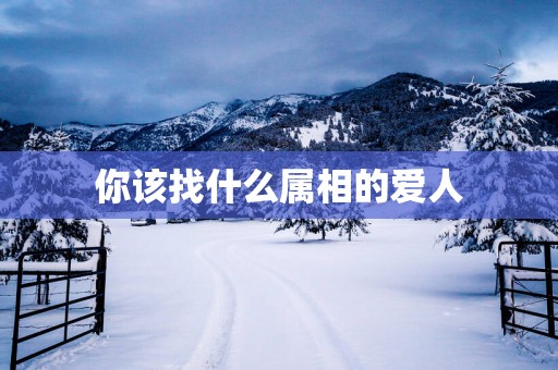 你该找什么属相的爱人