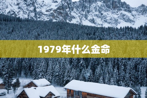 1979年什么金命