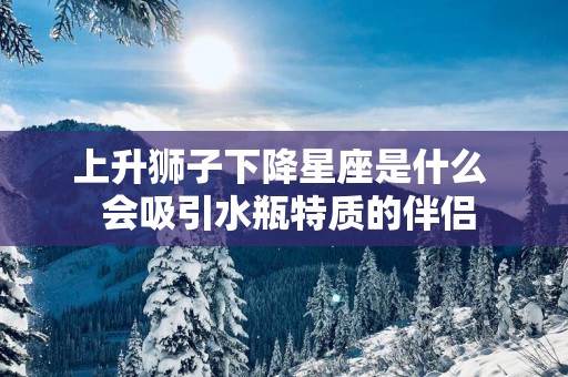上升狮子下降星座是什么  会吸引水瓶特质的伴侣