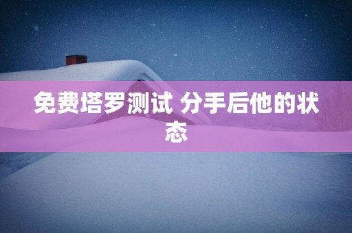 免费塔罗测试 分手后他的状态