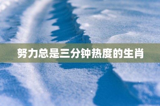 努力总是三分钟热度的生肖