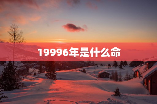 19996年是什么命