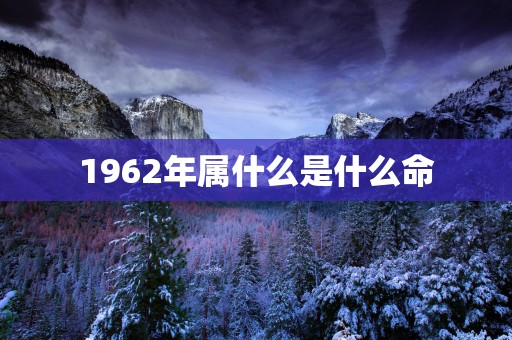 1962年属什么是什么命