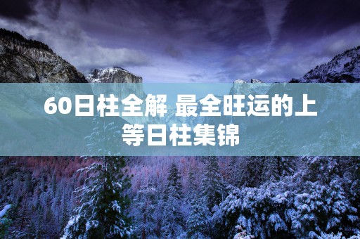 60日柱全解 最全旺运的上等日柱集锦