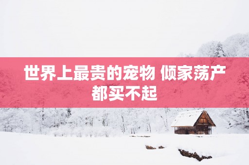 世界上最贵的宠物 倾家荡产都买不起