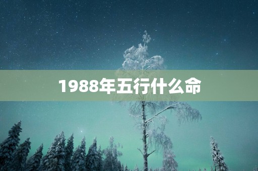 1988年五行什么命