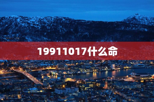 19911017什么命