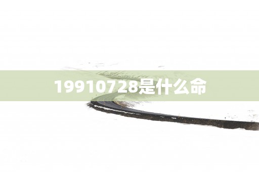 19910728是什么命