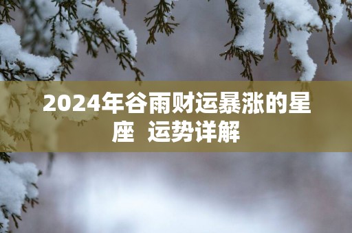 2025年谷雨财运暴涨的星座  运势详解