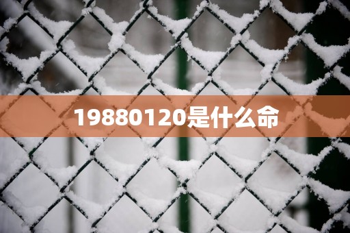 19880120是什么命