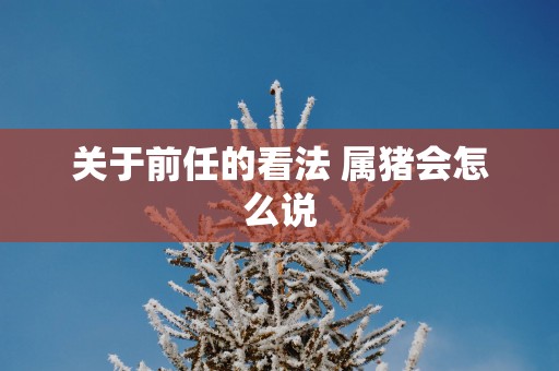 关于前任的看法 属猪会怎么说