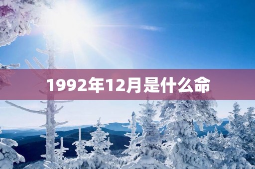 1992年12月是什么命