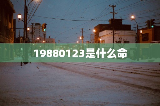 19880123是什么命