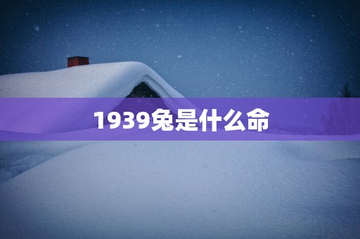 1939兔是什么命