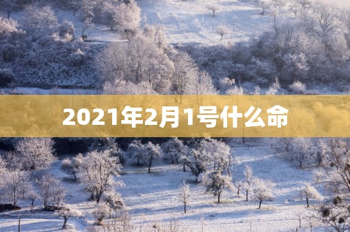 2025年2月1号什么命