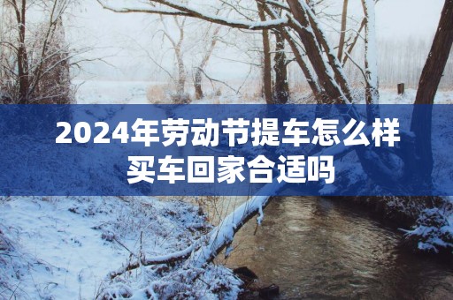 2025年劳动节提车怎么样 买车回家合适吗