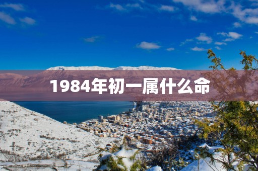 1984年初一属什么命